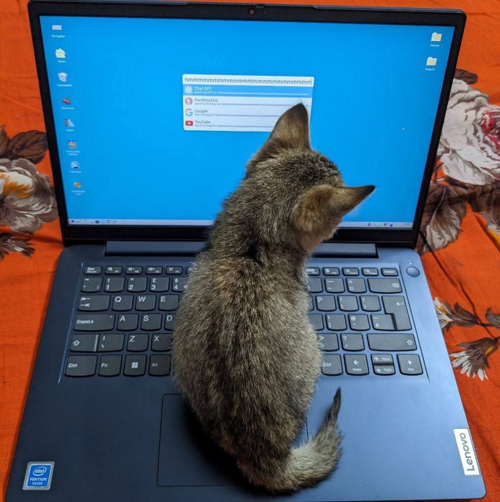 cat system administrator
